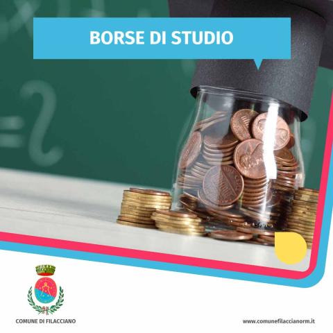 Borse di studio 24